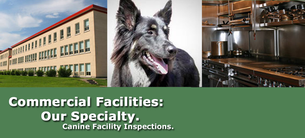 Commercial Pest Control