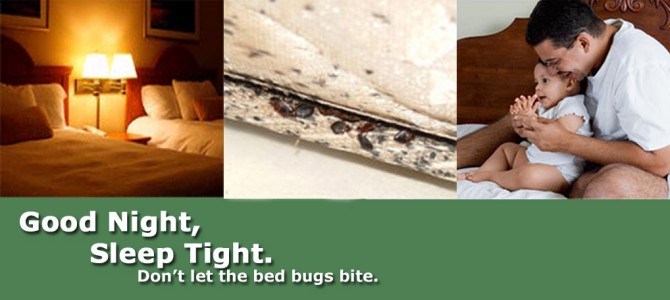 K-9 Bed Bug Detection